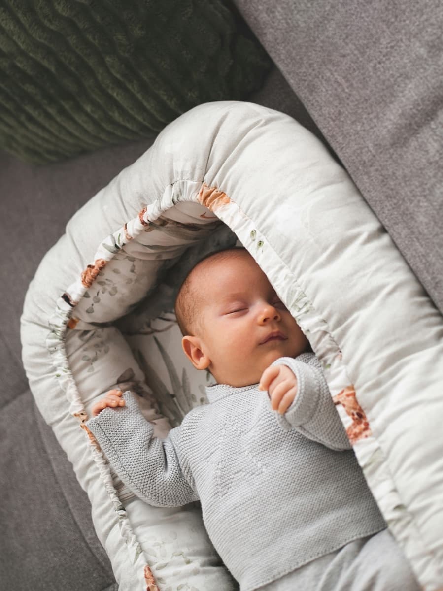 Babynestje